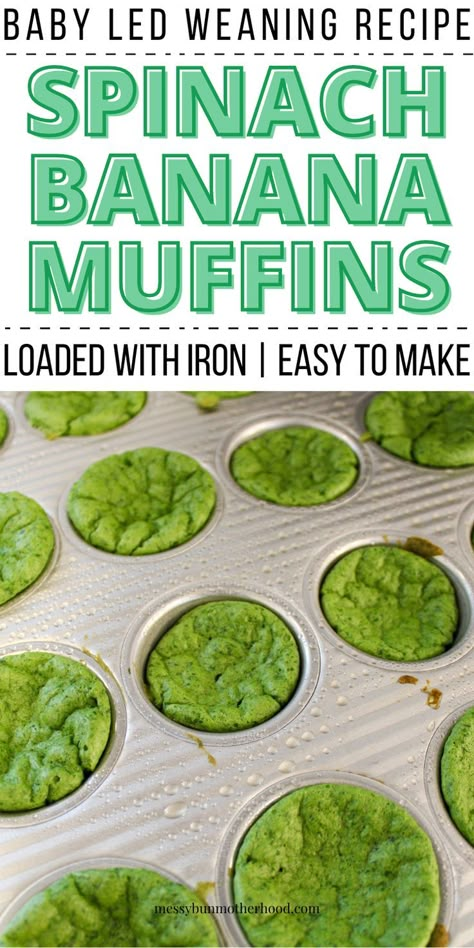 spinach banana muffins in muffin tray Healthy Snacks For 10 Month Old, Baby Led Weaning Banana Recipes, Baby Led Weaning Muffins Healthy, Spinach Muffins For Baby, Baby Finger Foods 9 Months, Baby Muffin Recipe, Easy Blw Meals, Blw Recipes 6 Months, Baby Led Weaning 6 Months