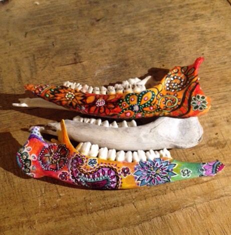 Painted Deer Jaw Bone, Painted Jaw Bone, Painted Bones, Painting Bones, Stick Fence, Bone Painting, Deer Bones, Painted Animal Skulls, Painted Cow Skulls