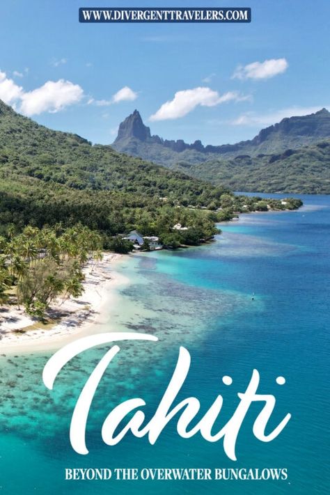 Tahiti Vacation, Tuamotu Islands, Tahiti Travel, Overwater Bungalows, Travel Savings, Adventure Couple, Travel Safety, French Polynesia, Divergent