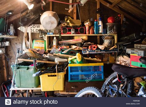 Download this stock image: Inside a messy and cluttered wooden garage shed with tools, bikes and garden equipment piled up on uneven shelves - F6PE90 from Alamy's library of millions of high resolution stock photos, illustrations and vectors. Messy Garage, Organised Chaos, Spider Illustration, Wooden Garage, Basement Storage, 2d Game Art, Garage Shed, Organized Chaos, Garden Equipment