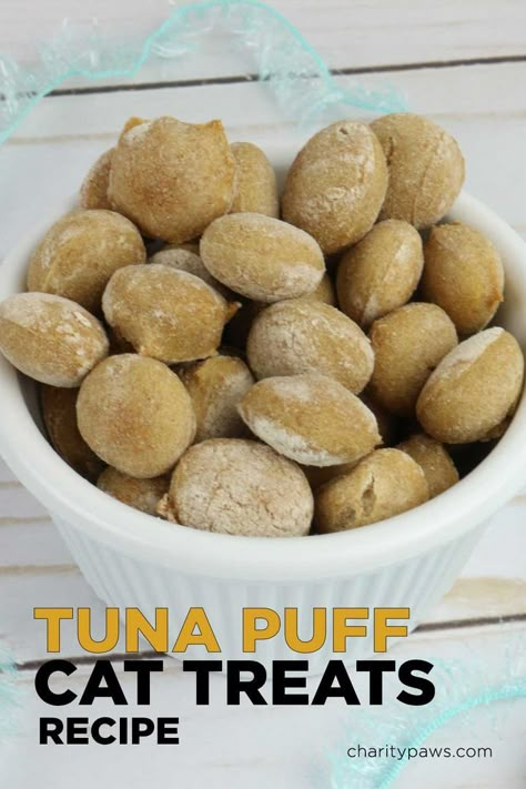 Even the pickiest of kitties will love these homemade tuna puff cat treats. https://charitypaws.com/tuna-puff-cat-treat-recipe/ Homemade Cat Treats Easy, Tuna Puff, Homemade Cat Treats Recipes, Diy Cat Treats, Tuna Cat Treats, Catnip Treats, Treats For Cats, Homemade Pet Treats, Pet Treats Recipes