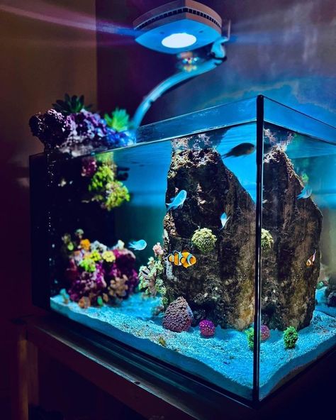 Salt Water Aquarium Ideas, Aquarium Hacks, Small Turtle Tank, Salt Water Fish Tank, Salt Water Aquarium, Cool Fish Tank Decorations, Unique Fish Tanks, Turtle Tank Setup, Turtle Tanks