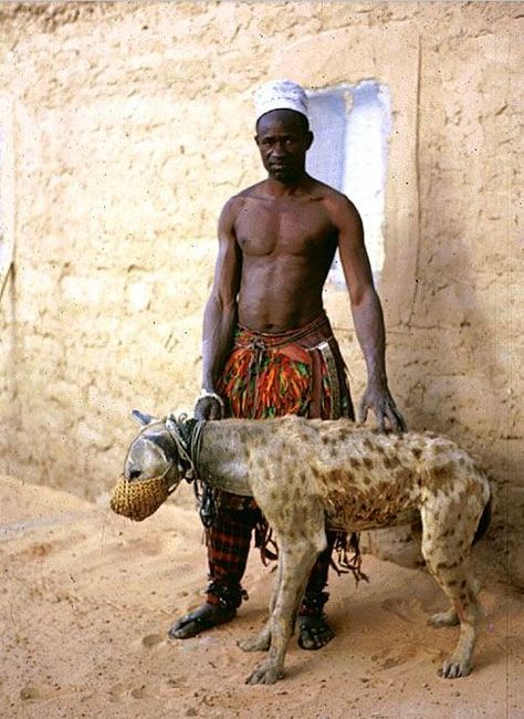 Hyena Man, African People, Hyena, People Of The World, World Cultures, People Around The World, African Art, First World, Namaste