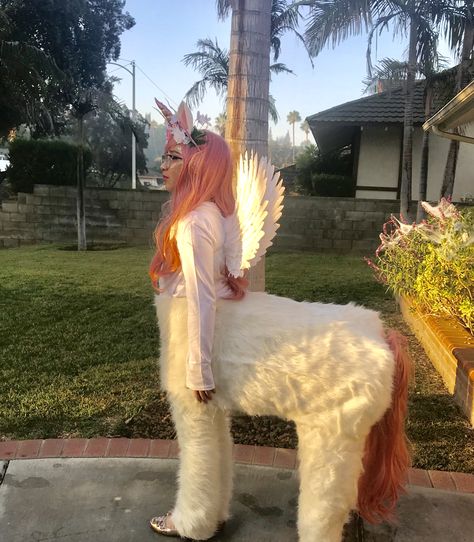 Centaur Cosplay, Centaur Costume, Ideas Carnaval, Diy Unicorn Costume, Diy Unicorn, Unicorn Costume, Halloween 2022, Costume Diy, Book Week