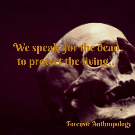 Forensic Anthropology                                                       … #forensicanthropology Forensic Anthropology Aesthetic, Forensic Art, Biological Anthropology, Psychological Hacks, Forensic Anthropologist, Body Farm, Medical Examiner, Forensic Anthropology, Forensic Psychology