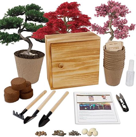 Amazon.com : Bonsai Tree Kit, 4 Bonsai Tree Seeds with Complete Growing Kit & Wooden Planter Box, Indoor Live Plant Bonsai Tree Starter Kit, Great Potted Plants Growing DIY Gift for Adults : Patio, Lawn & Garden Watering Garden, Peat Pots, Seed Starter Kit, Indoor Bonsai Tree, Bonsai Seeds, Flame Tree, Diy Kits For Adults, Ginkgo Tree, Wooden Planter Boxes