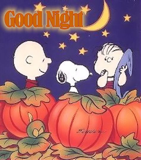 Good Night night snoopy goodnight good night goodnight quotes good nite goodnight quote Goodnight Halloween, Great Pumpkin, Charlie Brown, Good Night, Pumpkins, Snoopy, Thanksgiving, Moon, Halloween