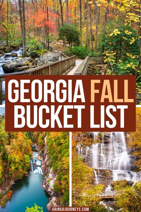 Top photo: The bridge to Anna Ruby Falls surrounded by fall leaves, bottom left photo: Tallulah Gorge State Park in the fall, bottom right photo: Anna Ruby Falls in the autumn Atlanta Vacation, Georgia Fall, Best Pumpkin Patches, Apple Orchards, Georgia Vacation, Fall Festivals, Fall Road Trip, Fall Vacations, Fall Camping