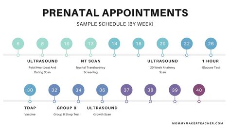 Newborn Doctor Visits Schedule, Prenatal Appointment Schedule, Pregnancy Appointment Timeline, Baby Boundaries, 2024 Resolutions, First Prenatal Appointment, Pregnancy Doctor, Prenatal Appointment, Wattpad Ideas