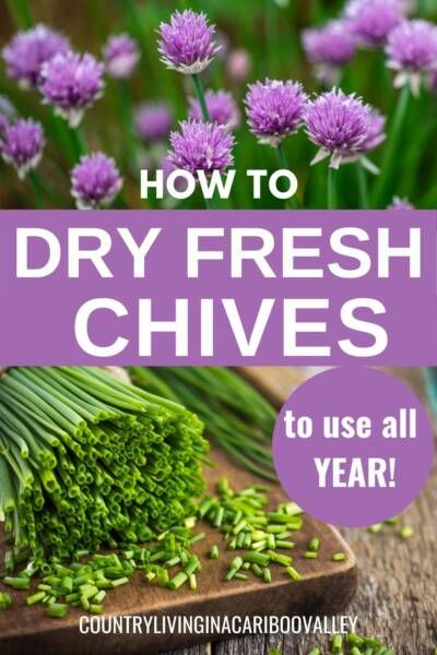 Drying Fresh Herbs In Oven, How To Dry Chives In The Oven, How To Dry Herbs In Dehydrator, How To Dehydrate Chives, Dehydrating Chives In Dehydrator, Dried Chives Recipes, Drying Chives In The Oven, How To Store Chives, How To Store Fresh Chives