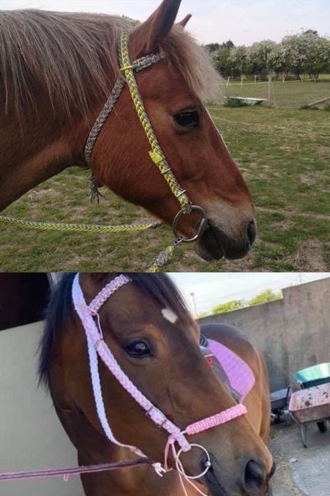 Paracord Bridle, Paracord Horse Tack, Kids Saddle, Horse Tack Diy, Paracord Ideas, Equestrian Apparel, Tack Store, Horse Ideas, Tack Shop