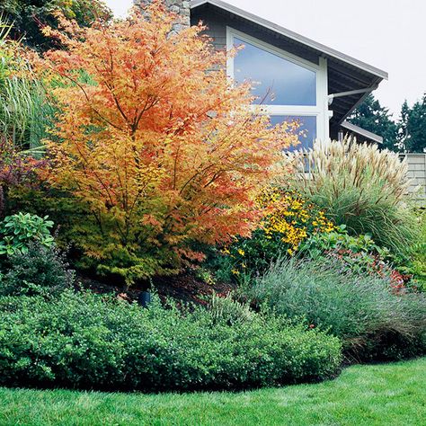 Slope Gardening, Sloped Landscaping, Garden Shapes, Conifer Garden, Slope Landscape, Sloping Garden, Slope Landscaping, Sunny Landscape, Fun Lights