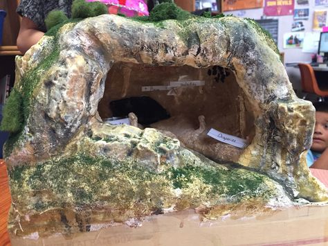 Cave Diorama, Diy Volcano Projects, Bat Project, Volcano Projects, Dnd Diy, Dragon Cave, Grimm Tales, Earth Projects, The Wild Robot