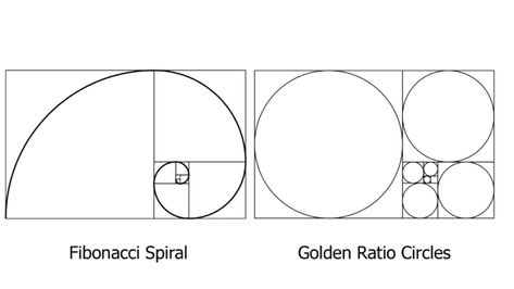 Golden Ratio Layout, Phi Golden Ratio, Golden Ration, Proportion Art, Golden Ratio In Design, Golden Proportion, Golden Ratio Logo, Spirals In Nature, Golden Section