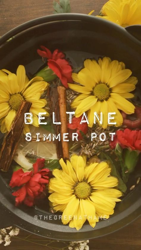 Simmer Pot Recipes, Stove Top Potpourri, Kitchen Witch Recipes, Simmer Pot, Magical Herbs, Herbal Magic, Beltane, Kitchen Witch, Home Scents