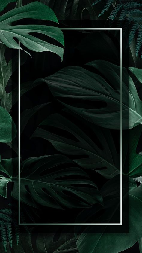 Tropical Frames, Iphone Wallpaper Iphone, Green Leaf Background, Dark Green Wallpaper, Leaf Frame, Leaves Background, Tropical Background, Plant Background, Plant Wallpaper