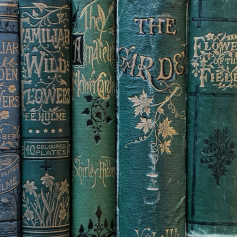 Pretty Book Spines, Old Book Spine Design, Forest Academia, Rh Decals, Old Fairytale Books, Books Beautiful, Old Hardcover Books, Old Herbal Books, Book Spines