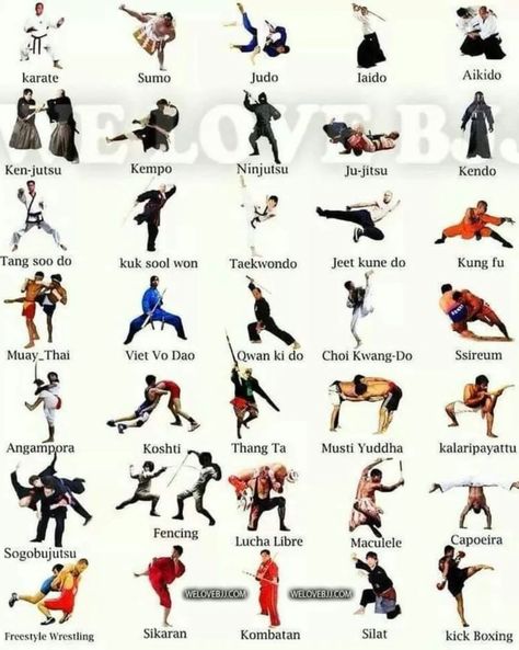 WHAT IS YOUR STYLE? FOLLOW ON YOUTUBE 👉 @KARATESIR FOLLOW ON FACE BOOK 👉 @KARATESIR FOLLOW ON INSTAGRAM 👉 @karatesir786 CONTACT TO BUY KARATE AND MARTIAL ARTS EQUIPMENT 👉 CALL +91 9638486088 NATIONAL AND INTERNATIONAL HOME DELIVERY AVAILABLE 👍 🥋 SUBSCRIBE MY YOU TUBE CHANNEL 👉👉👉 ( KARATE SIR ) MAKE SURE TO FOLLOW 👇 FOLLOW👉 @onlinekarate FOLLOW👉 @karatesir786 FOLLOW👉 @karatesirsweapontraining FOLLOW👉 @karatesirshop FOLLOW👉 @nunchakusshop FOLLOW👉 @arsalanthekaratekid #blackbe... Karate Equipment, Martial Arts Equipment, Ck Be, Martial Arts Workout, Face Book, Follow On Instagram, You Tube, Home Delivery, Karate