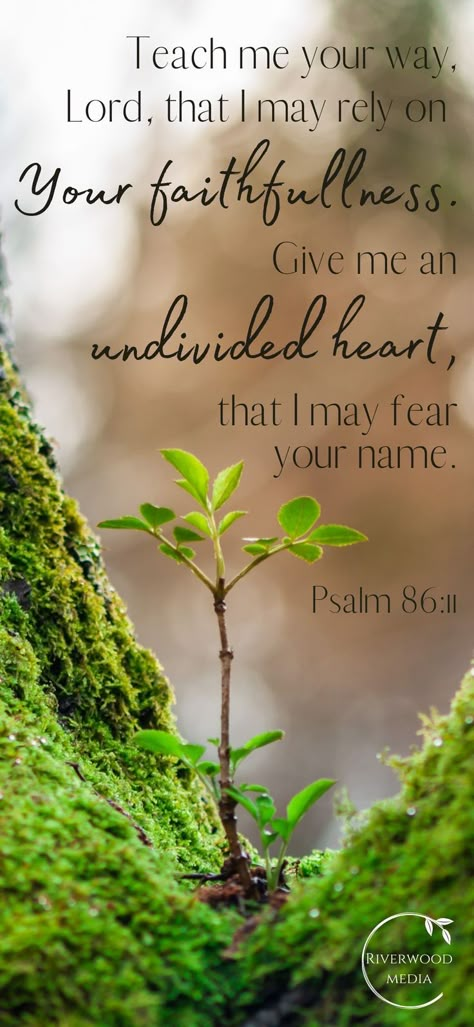 Psalms Quotes, Psalm 86, Bible Verse Background, Bible Words Images, Bible Quotes Images, Powerful Bible Verses, Scripture Reading, Prayer Scriptures, Inspirational Bible Quotes