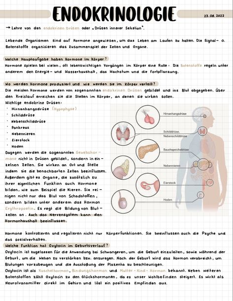 Notes On Notability, Goodnotes Typed Notes, Nursing Notes Aesthetic Ipad, Notes Inspiration Ipad, Pretty Goodnotes Notes, Ipad Notes Anatomy, Aesthetic Notes Good Notes, Ipad Notes Layout, Notes In Goodnotes