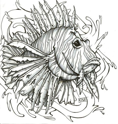 Lionfish Drawing, Lion Fish Tattoo, Lionfish Tattoo Design, Lionfish Tattoo, Lion Fish Tattoo Design, Lion Fish Drawing, Fish Drawing Detailed, Lion Fish Illustration, Lionfish Watercolor