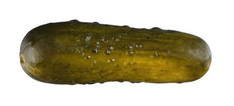 Half-sour pickles are deli staples. Easy Dill Pickles, Pickle Juice Benefits, Homemade Pickles Dill, Kosher Dill Pickles, Sour Pickles, How To Make Pickles, Fermented Pickles, Growing Cucumbers, Dill Pickles