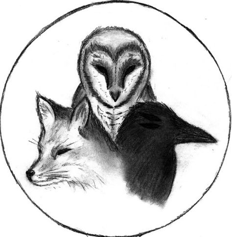 the owl and the fox Fox And Owl Art, Owl And Crow Tattoo, Owl And Raven Tattoo, Fox And Raven, Haida Art, White Ink Tattoo, Crow Tattoo, Raven Tattoo, Fox Tail