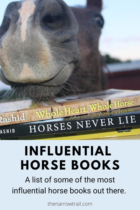 American Saddlebred Horses, Fictional Books, 100 Books, American Saddlebred, Horse Therapy, Horse Inspiration, Horse Books, 100 Books To Read, Horse Trainer