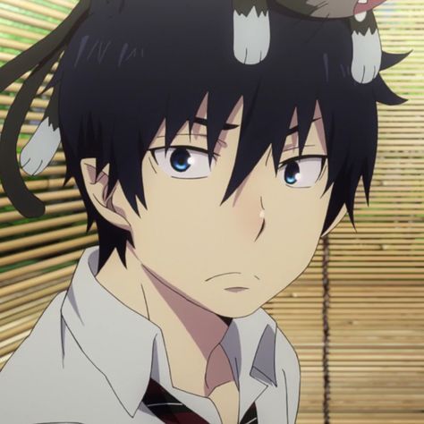 anime : blue exorcist. Blue Exorcist Rin, Blue Exorcist Anime, Exorcist Anime, Rin Okumura, D Gray Man, Ao No Exorcist, Wolf Girl, Anime Wolf, Old Anime