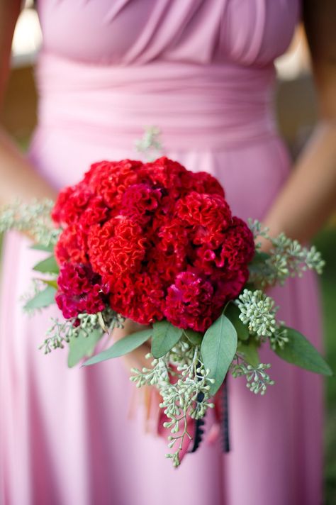 Celosia Flower, Winter Wedding Bouquet, Bridesmaids Bouquet, Red Bouquet, Boda Mexicana, Bridesmaids Bouquets, Special Flowers, Velvet Flowers, Refined Wedding