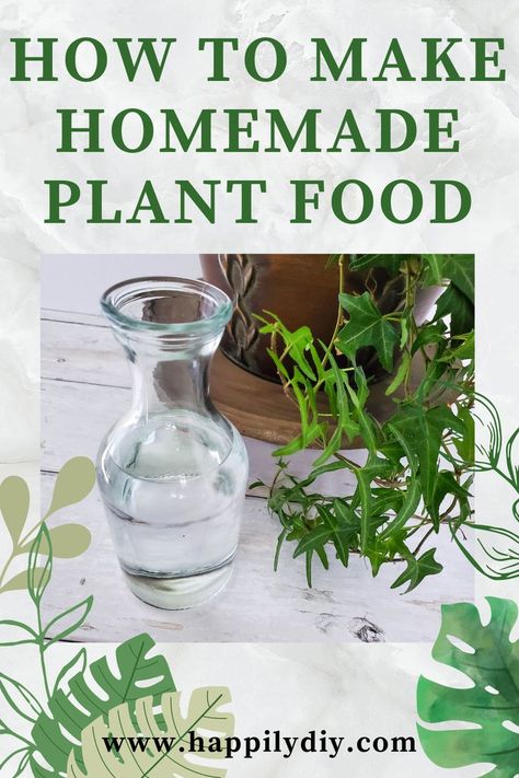 Learn how to make homemade plant food and watch as your garden grows. Have happy and healthy homemade plant food. Diy Plant Food Houseplant, Plant Food Diy, Homemade Plant Fertilizer, Indoor Plant Food, Homemade Plant Food, Natural Plant Fertilizer, Pruning Plants, Repotting Plants, Mason Jar Herb Garden