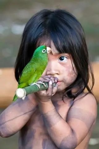 46 Sights of the Amazon Rainforest to Make You Go Ooh Amazon Animals, Frog Species, River Dolphin, Amazon Forest, Gorgeous Scenery, African Grey, Catching Fish, Amazon Rainforest, Tree Frogs