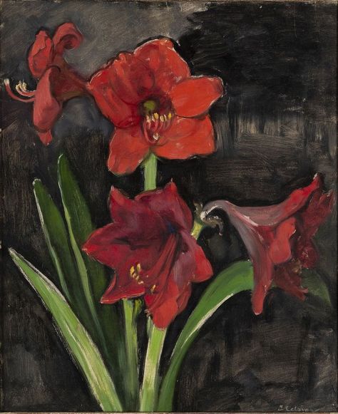 Amaryllis Painting, I Love My Girlfriend, Oil Canvas, Still Life Painting, Embroidery Flowers, Artist Art, Still Life, Oil On Canvas, Painter