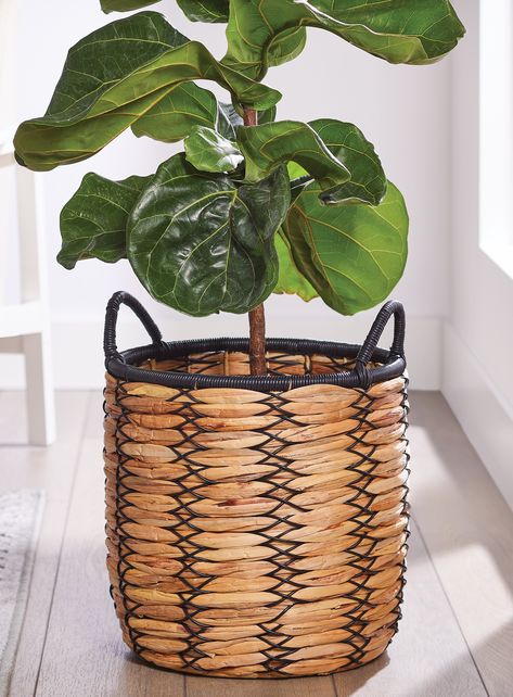 Water Hyacinth Basket, Hyacinth Basket, Business Inventory, Plant Styling, Rattan Planters, Floor Plants, Basket Planters, Target Market, Plant Basket