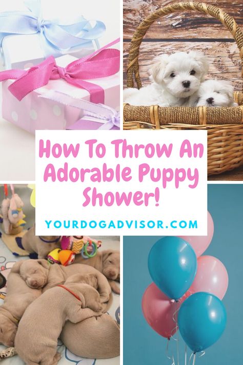 Dog Shower Party Ideas, Puppy Shower Party Ideas, Puppy Shower Ideas Dog Parties, Puppy Baby Shower Ideas, Puppy Shower Ideas, Willow Photoshoot, Puppy Shower Party, Dog Baby Shower Theme, Games For Puppies