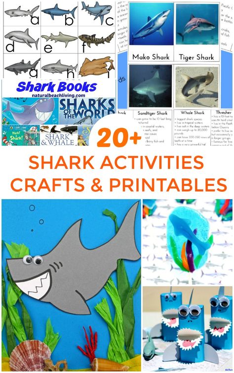 This is the place for Shark Week Activities for Kids and Shark Printables for Kids, Lots of Shark Week Crafts, Plus, Shark Science and Shark Themed Preschool ideas #sharkweek #sharkactivities Shark Week Activities For Kids, Shark Week Activities, Shark Science, Shark Template, Shark Jokes, Shark Week Crafts, Shark Printables, Kindergarten Kid, Shark Books