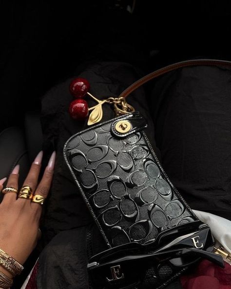 Cherry Accessories, Expensive Bag, My Style Bags, Luxury Bags Collection, Handbag Essentials, Girly Bags, Girly Accessories, Fancy Bags, Black Purse