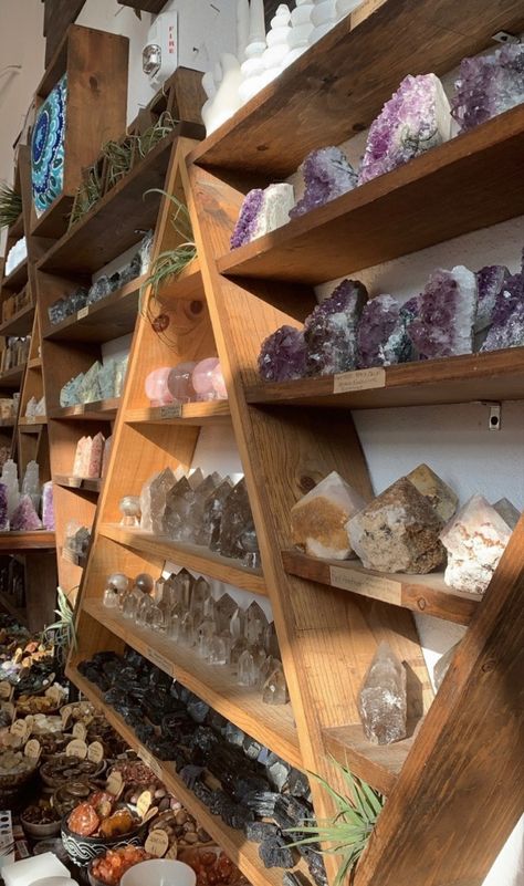 Gemstone Collection Display, Diy Rock Collection Display, Displaying Crystals In Home, Rock Collection Storage, Crystal Collection Display, Rock Collection Display, Display Quotes, Shell Display, Metaphysical Store