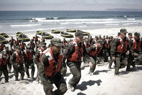 10 Inspirational Quotes From Navy SEAL Training Navy Seal Training, Seal Training, David Goggins, Us Navy Seals, Highly Effective People, Silly Questions, Stephen Covey, Army Rangers, Nothing Lasts Forever