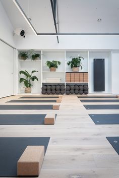 Yoga Room Organization, Yoga Studios Design Interiors, Yoga Studio With Plants, Small Yoga Studio Design, Yoga Studio Interior, Sala Yoga, Yoga Room Design, Home Yoga Room, Relaxing Yoga Poses