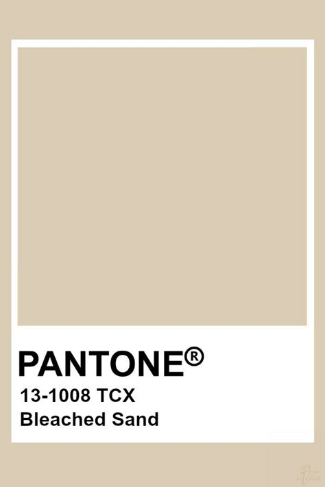 Sand Coloured Walls, Sand Colour Palette, Pantone Cafe, Sand Pantone, Sand Color Palette, Cream Pantone, Beige Pantone, Pantone Paint, Pantone Tcx