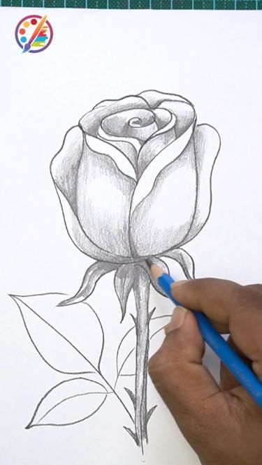 In this step-by-step tutorial, we'll guide beginners through the process of drawing a beautiful rose, breaking it down into simple and manageable steps. Whether you're new to drawing or looking to improve your skills, this tutorial will help you create a stunning rose drawing with ease. #art #drawing #sketch How To Draw Rose Flower, Roses Sketch Drawing, Pencil Shading Drawings Easy For Beginners, Drawing Of Roses Easy, Easy Drawings For Beginners Sketches Pencil Step By Step, Flower Art Drawing Beautiful, How To Draw A Simple Rose, How To Draw Realistic Flowers, Easy And Beautiful Drawings