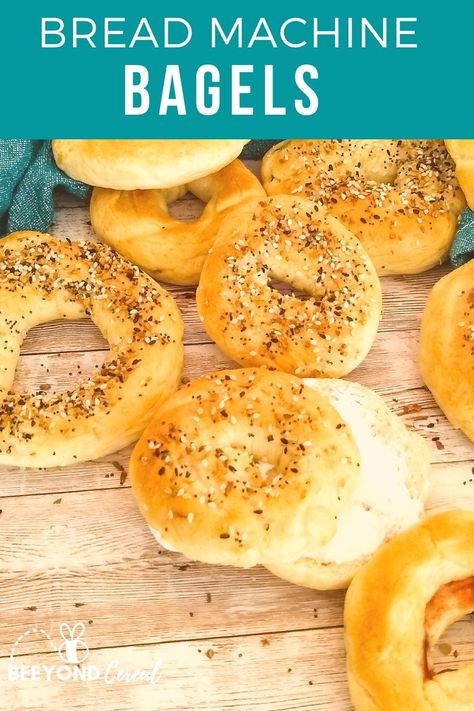 This easy bread machine bagel recipe includes tips on how to make homemade bagels without a machine too. Make homemade everything or plain bagels till your heart's content. This soft and chewy bagel dough recipe is boiled and then baked so you can get the best flavor and texture in every bite. It's so simple and easy to follow along with that it will quickly become a favorite! Bagels Bread Machine, Bagel Dough Recipe, Bread Machine Bagels, Movie Night Treats, Late Night Movie, Basic Bread Recipe, Homemade Everything, Bagels Recipe, Plain Bagel