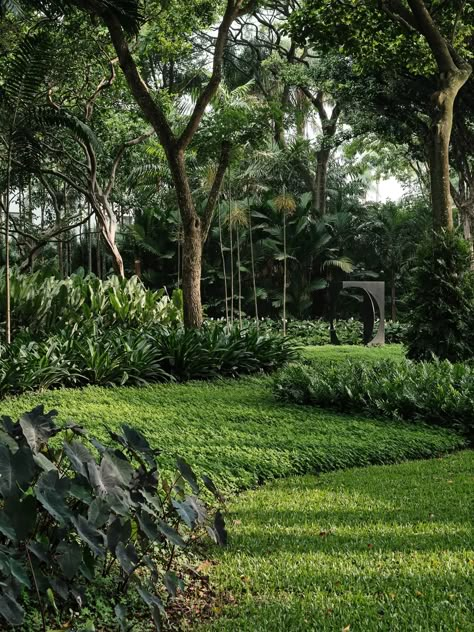 How Do You Build a Jungle? - The New York Times Tijuca National Park, Tropical Garden Design, Jungle Gardens, Estate Garden, Garden Park, Tropical Houses, House Landscape, Tropical Landscaping, Garden Trees