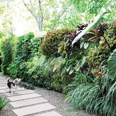 .ψ.Ψψψ.. how to plant a vertical garden : http://www.sunset.com/garden/landscaping-design/how-to-plant-vertical-garden-wall-00400000064854/ Vertical Garden Wall, Walled Garden, The Secret Garden, Wall Garden, Garden Landscape Design, Backyard Projects, Living Wall, Tropical Garden, Plant Wall