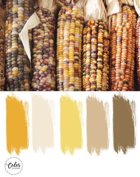 Corn Color Palette, Color Palette Yellow, Hex Codes, Color Codes, Orange And Green, Green And Pink, Color Wheel, Color Samples, Brown Orange