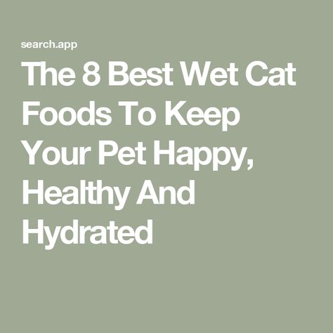 The 8 Best Wet Cat Foods To Keep Your Pet Happy, Healthy And Hydrated Homemade Cat Food, Fresh Tuna, Premium Meat, Canned Cat Food, Desert Animals, Cat Water Fountain, Homemade Cat, Sensitive Stomach, Wet Cat