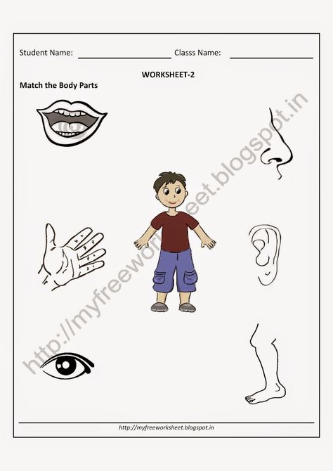 Download PDF Free for Nursery kids Match the body parts worksheet-2 Writing Kindergarten Worksheets, Body Parts Worksheet, Nursery Syllabus, Worksheet For Nursery, Worksheet For Nursery Class, Body Parts For Kids, Writing Kindergarten, Nursery Worksheets, Kindergarten Math Free