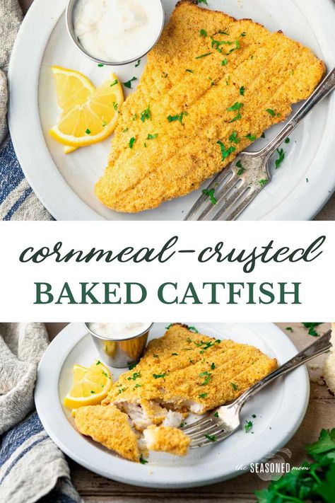 Classic Southern fried catfish gets a lighter, healthier, and easier makeover with this cornmeal-crusted baked catfish! It's crispy on the outside, tender and flaky on the inside, and perfect alongside cornbread, collard greens, coleslaw, and biscuits. Dairy Free Family Dinners, Healthy Catfish Recipes, Breaded Baked Fish, Baked Catfish Recipes, Ww Dinner Recipes, Cornmeal Bread, Fresh Fish Recipes, Fried Catfish Recipes, Baked Catfish