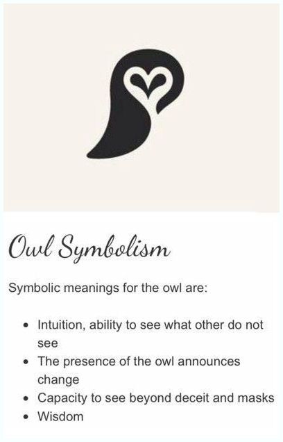 Tiny Owl Tattoo, Simple Owl Tattoo, Tattoos Anchor, Baby Owl Tattoos, Wisdom Tattoo, Tattoos Placement, Tattoos Feather, Owl Tattoo Meaning, Placement Tattoo